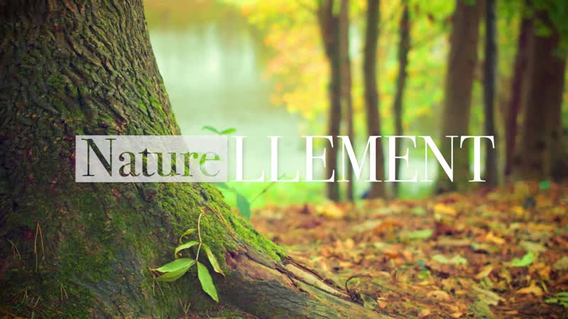 Naturellement - Dans une ferme de Surice