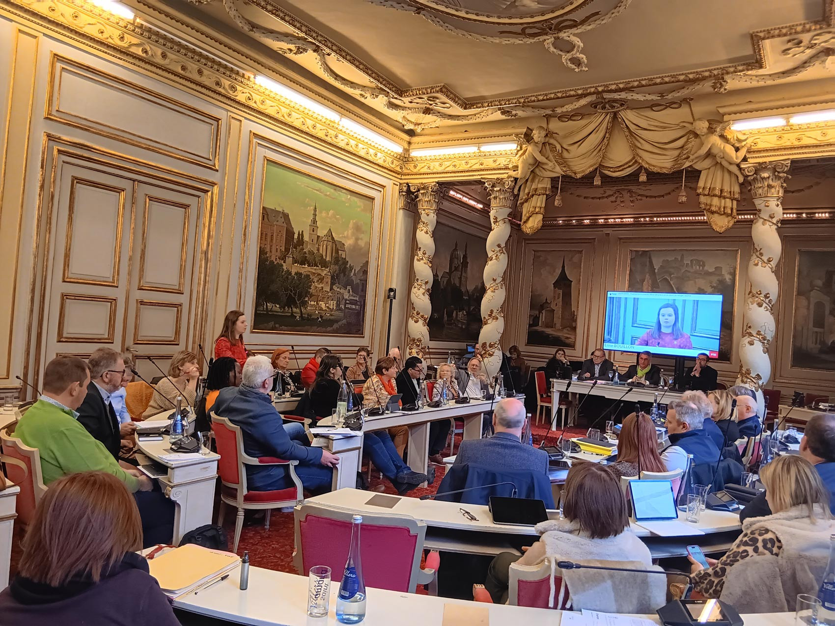 Conseil provincial: un devoir wallon à l'horizon