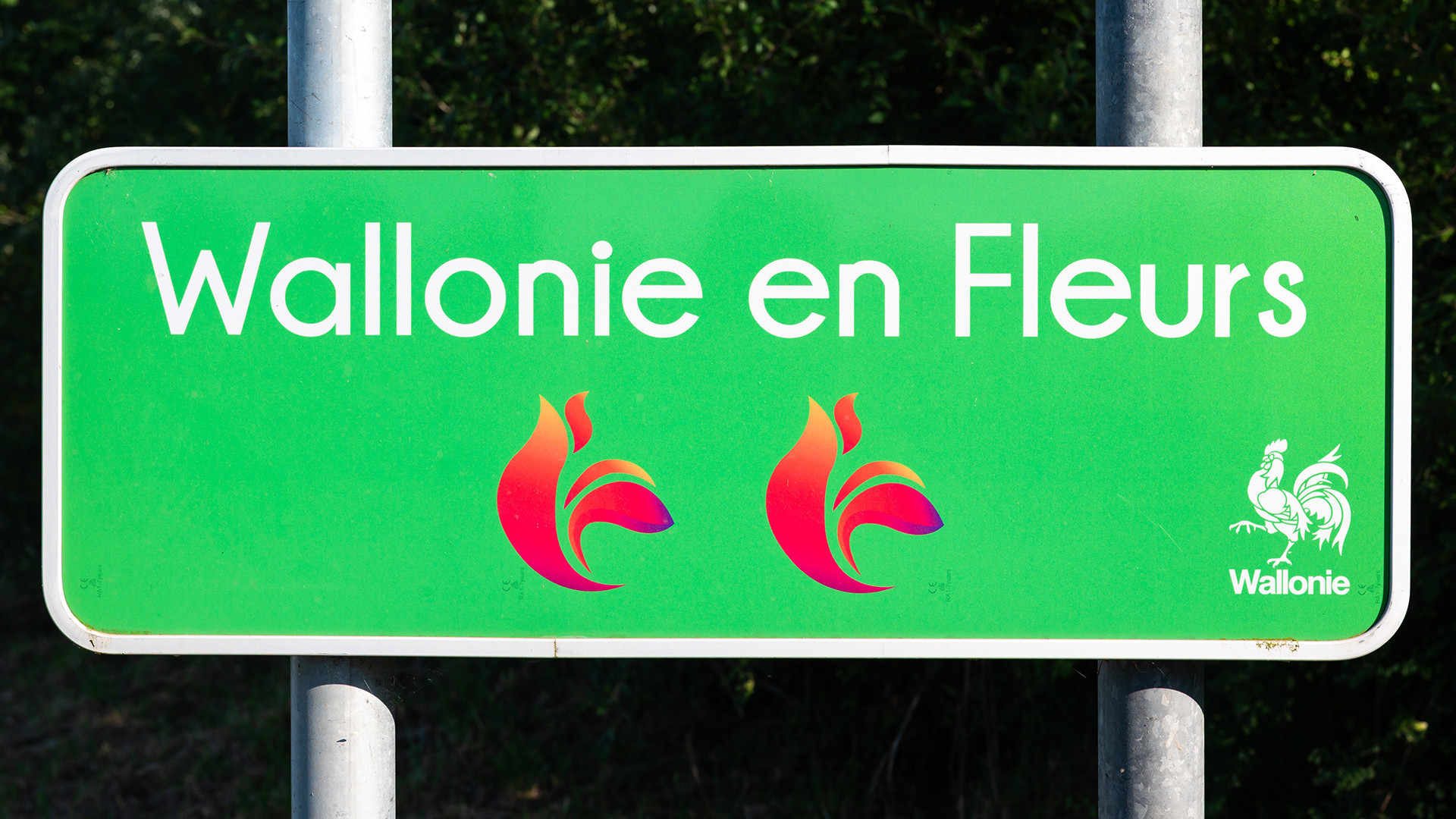 Les lauréats namurois "Wallonie en Fleurs" sont connus