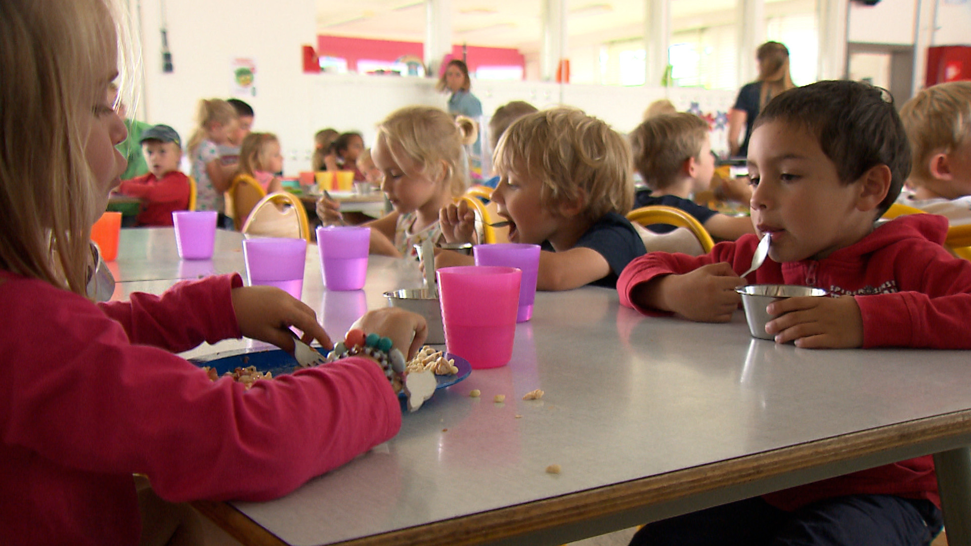 Plus de 13.000 repas servis quotidiennement dans les cantines durables en Wallonie