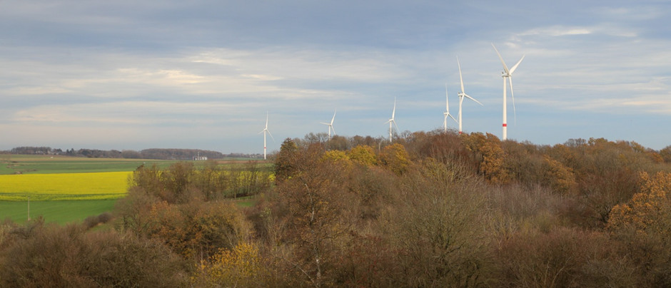Le parc éolien de Gesves/Ohey teste une solution innovante pour la protection des chauves-souris