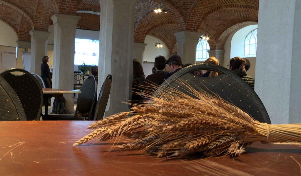 Ils font l'alimentation durable et locale dans le sud de l'ESEM