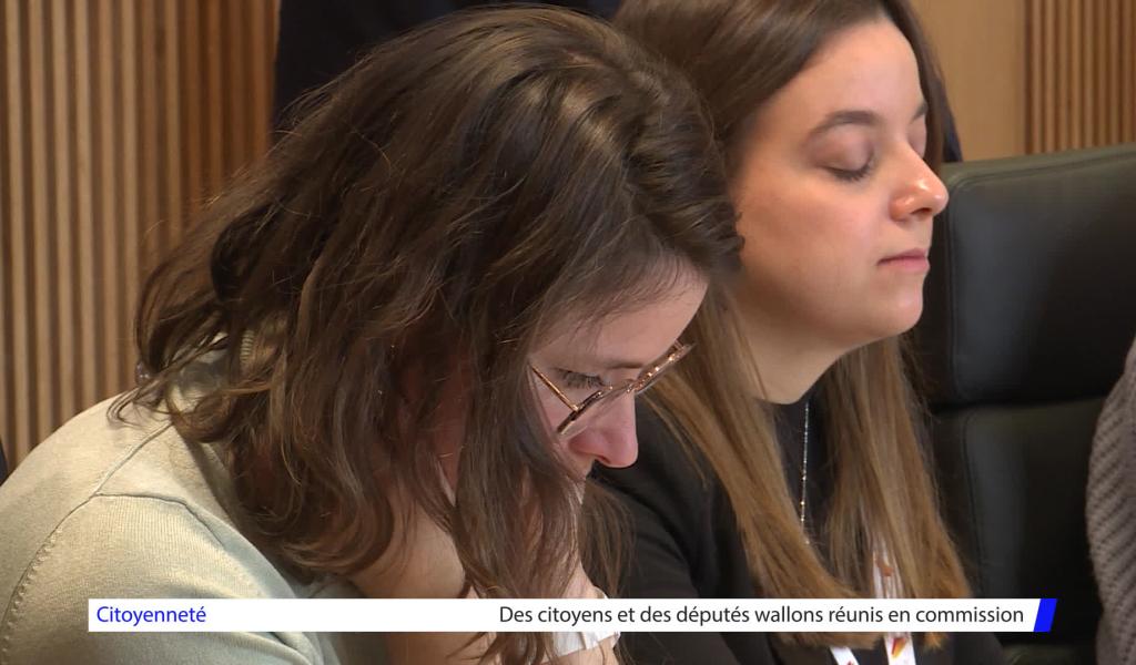 Des citoyens et des députés wallons réunis pour la première fois en commission au parlement