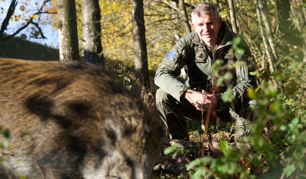 Florennes - Marco, le jeune sanglier, devient mascotte de la base aérienne