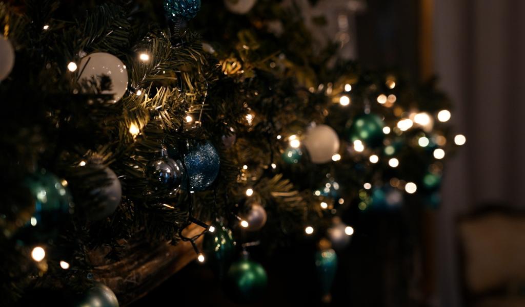 Cultivarium fête Noël !