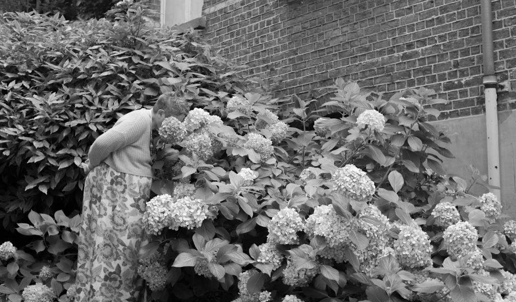 Hôpitaux psychiatriques: des photos pour combattre les clichés