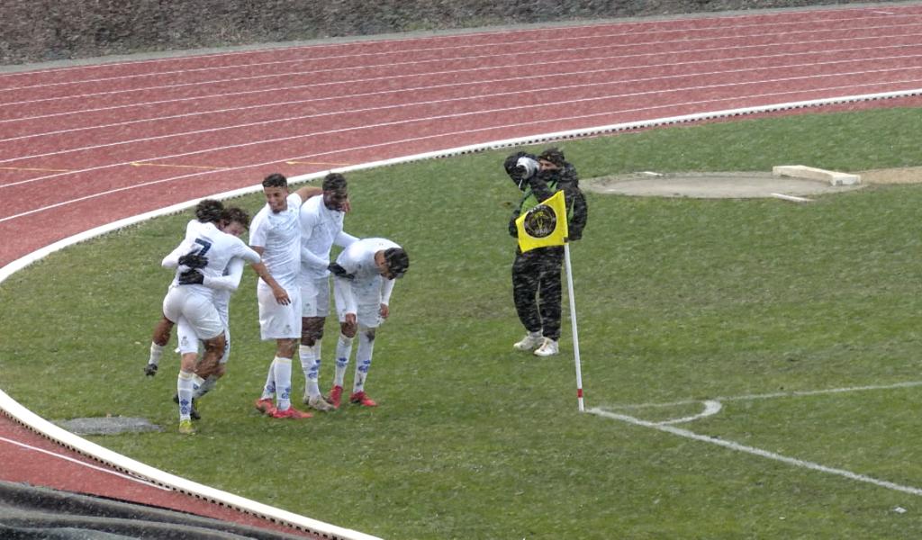 Les Merles ne chantent plus