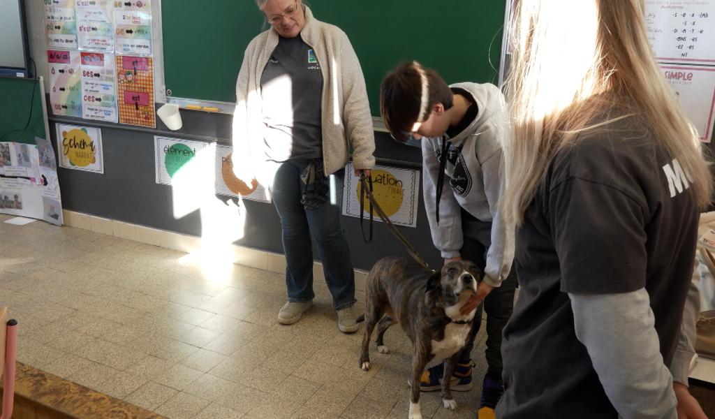 Jemeppe-sur-Sambre: des élèves sensibilisés au bien-être animal