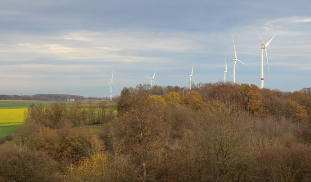 Le parc éolien de Gesves/Ohey teste une solution innovante pour la protection des chauves-souris