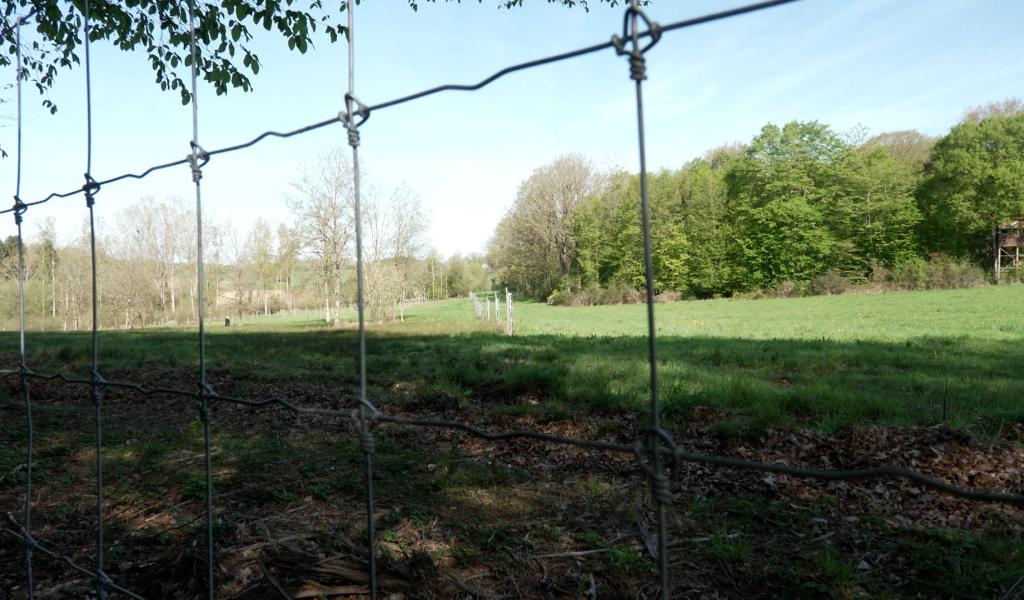 Gesves: lutter contre l'usurpation de chemins communaux