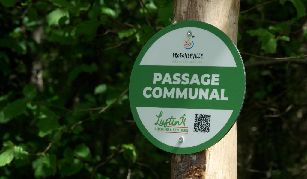 Le soleil invite à découvrir les nouveaux sentiers de Lustin