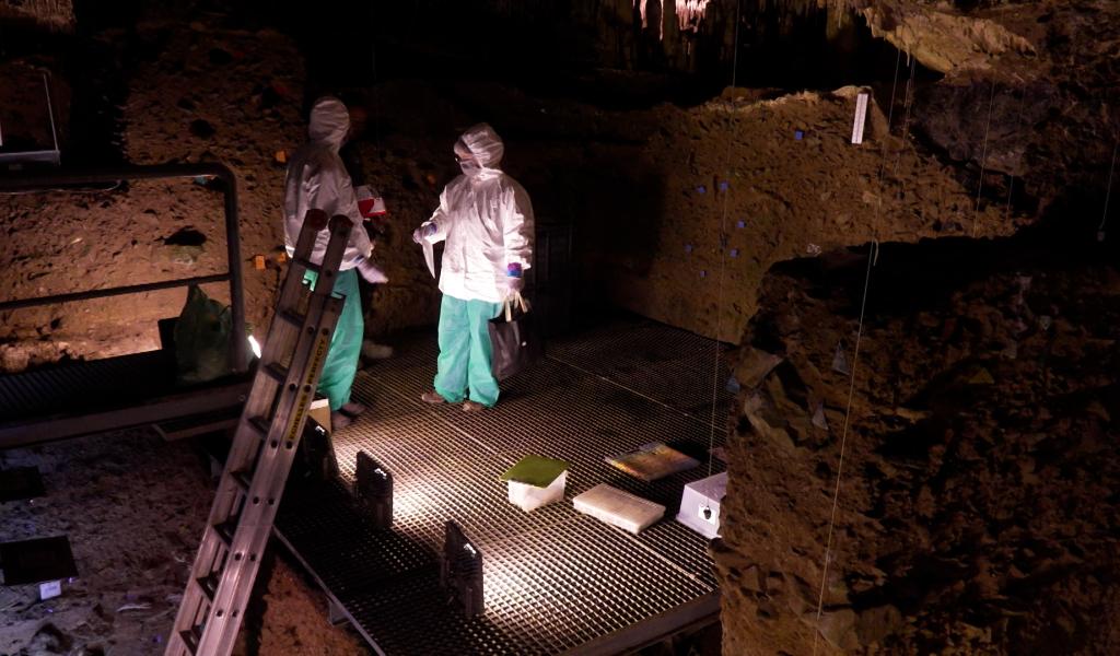 Traque à l'ADN à la Grotte de Scladina
