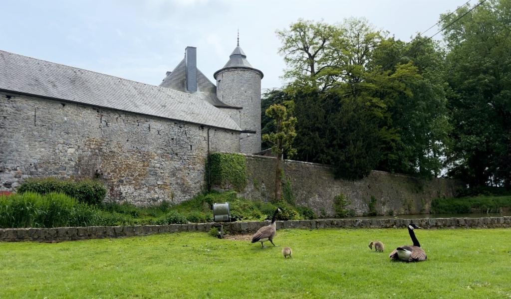 Walcourt : des vidéos pour valoriser le patrimoine local