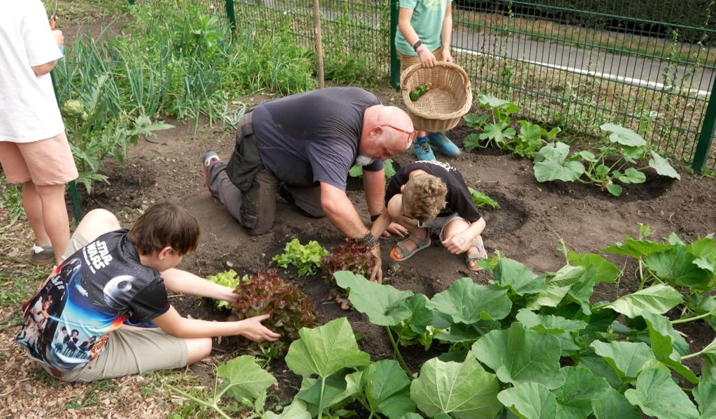 École de Rivière : Un potager qui fait grandir bien plus que les légumes