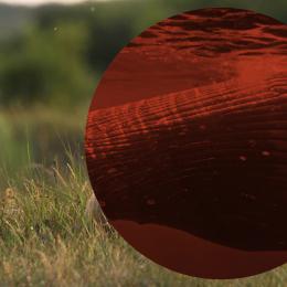 Festival international Nature Namur : l'émission du vendredi