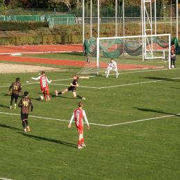 Ces Merles trop tranquilles