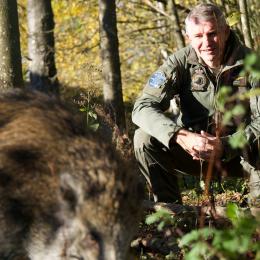 Florennes - Marco, le jeune sanglier, devient mascotte de la base aérienne