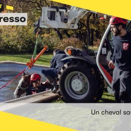 L'expresso de ce vendredi 7 novembre