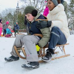 Á Namur, sous le froid mordant, la neige appelle les rires des lugeurs