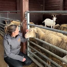 Tatouages solidaires au profit d'Equi'chance à Philippeville