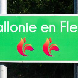 Les lauréats namurois "Wallonie en Fleurs" sont connus