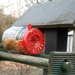 Gesves : un piège spécial anti frelons asiatiques