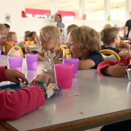 Plus de 13.000 repas servis quotidiennement dans les cantines durables en Wallonie