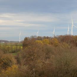 Le parc éolien de Gesves/Ohey teste une solution innovante pour la protection des chauves-souris