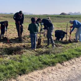 Une haie plantée pour développer la biodiversité