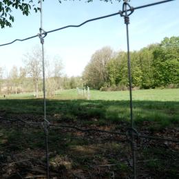 Gesves: lutter contre l'usurpation de chemins communaux