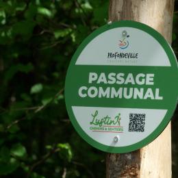 Le soleil invite à découvrir les nouveaux sentiers de Lustin