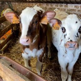 Quel espoir donner aux repreneurs des fermes wallonnes ?