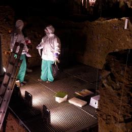 Traque à l'ADN à la Grotte de Scladina