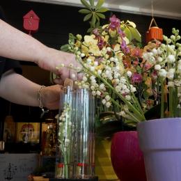Le muguet du 1er mai
