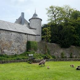 Walcourt : des vidéos pour valoriser le patrimoine local