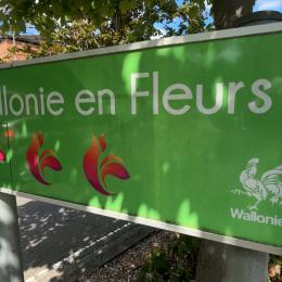 Wallonie en Fleurs : Andenne défend son label « trois fleurs », la plus haute distinction