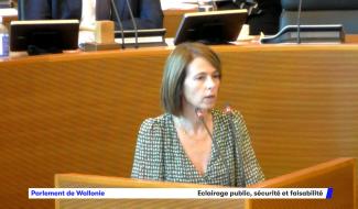 Éclairage public, sécurité et faisabilité