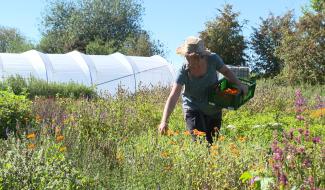 Les potions de Mana ou l'art de la tisanerie à Mehaigne
