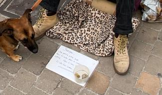 Interdiction mendicité dans les galeries : Écolo s'abstient au conseil communal