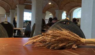 Ils font l'alimentation durable et locale dans le sud de l'ESEM