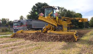 Néonicotinoïdes: la Belgique ne peut plus octroyer de dérogation pour les utiliser