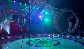 Case 22: le cirque en avant-goût des programmes du 1er janvier