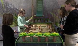 Expo les "As de la jungle": les enfants sensibilisés à l'environnement