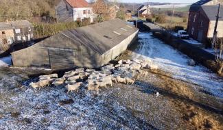 Terre en vue  facilite l'accès à la terre: exemple avec un éleveur de moutons