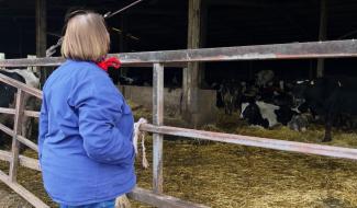 Mobilisation des agriculteurs - Le secteur est à bout de souffle