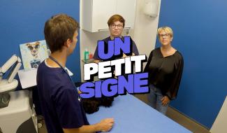Un petit signe: Chez le vétérinaire épisode 5