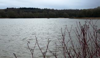 Fosses-la-ville: Le Lac de Bambois se réveille