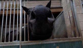 Qu'est-ce qu'on fête? : Le village de Rognée mis à l'honneur.