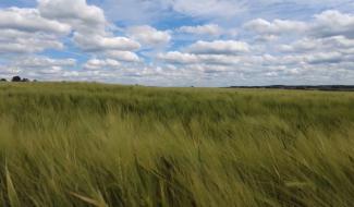 A quoi ressemble le territoire du futur Parc naturel de la Molignée ?