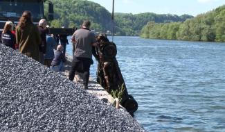 Fouilles dans la Meuse : des épaves retirées du fleuve